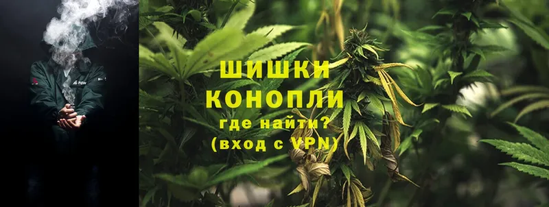 omg рабочий сайт  Жуков  Конопля OG Kush 